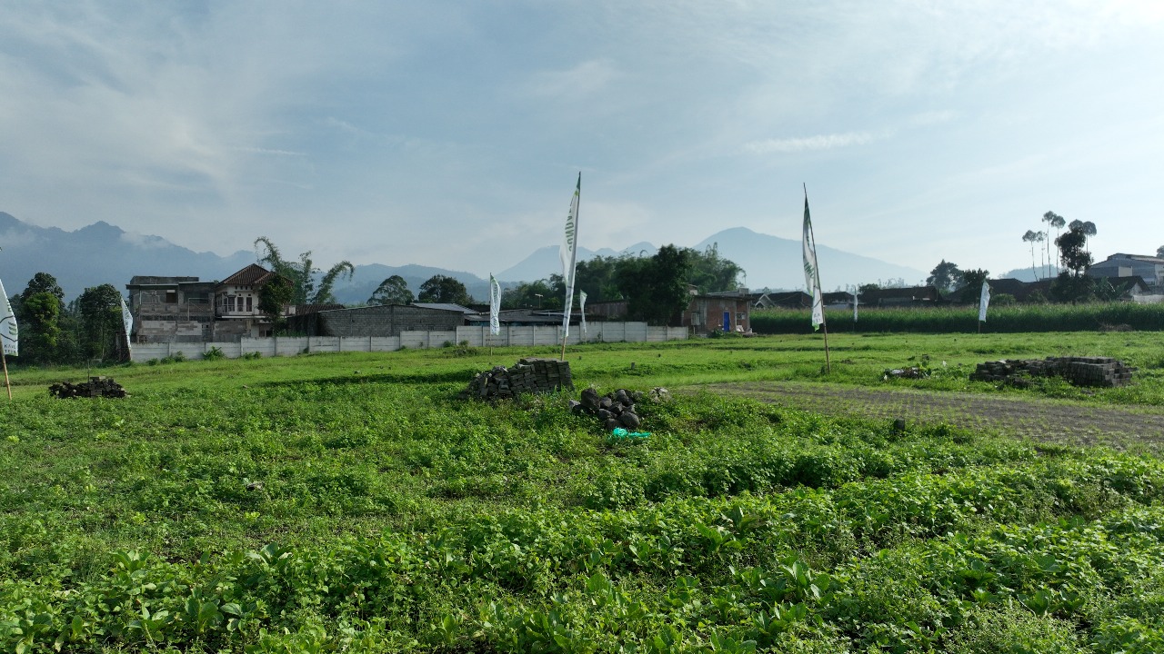 WhatsApp Image 2025-12-06 at 10.02.25