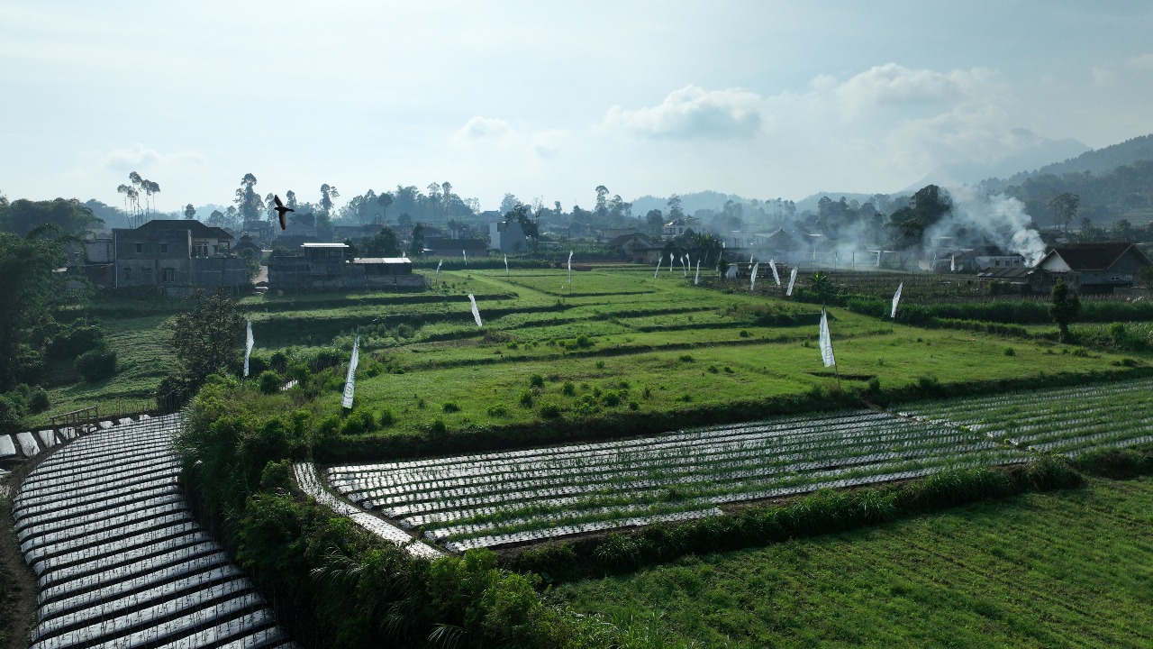 WhatsApp Image 2025-12-13 at 13.53.05