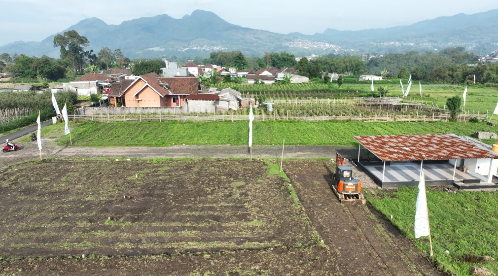 WhatsApp Image 2025-12-13 at 13.55.07